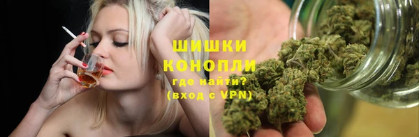 молекула духа Покров