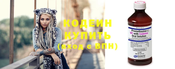 эйфоретик Покачи