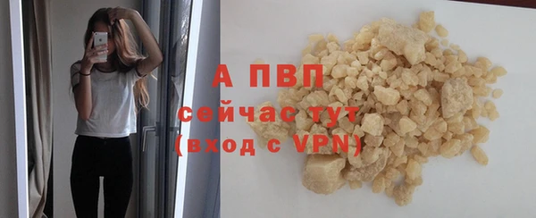 эйфоретик Покачи