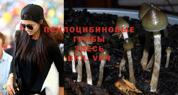 молекула духа Покров