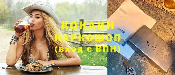 молекула духа Покров