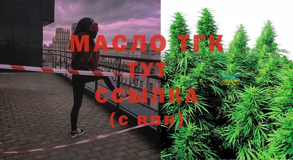 эйфоретик Покачи