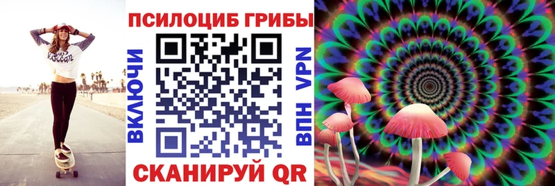 купить  сайты  Боровск  Галлюциногенные грибы Magic Shrooms 